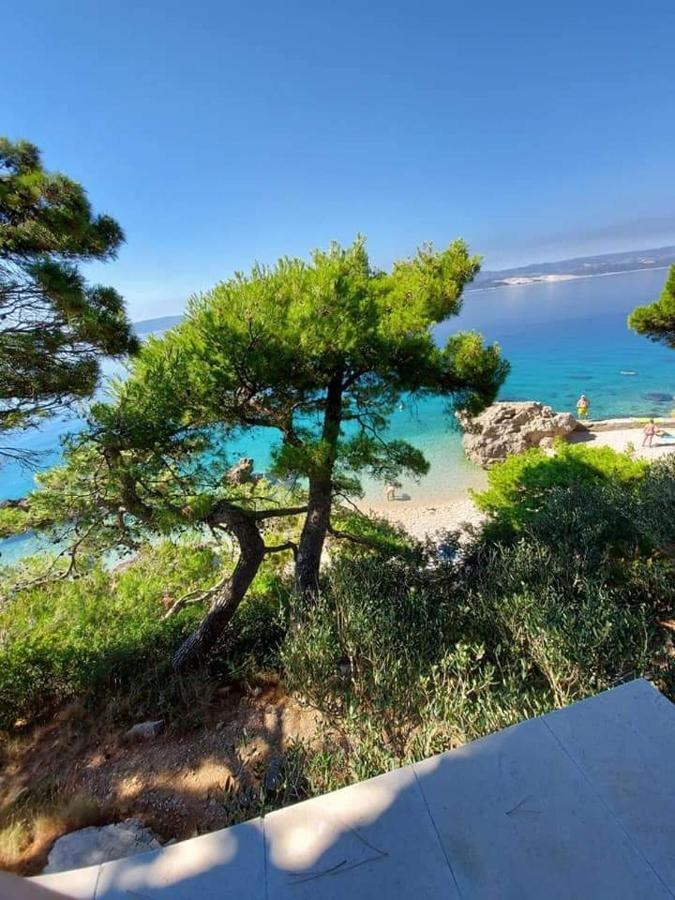 Apartmani Lucica ميميتسا المظهر الخارجي الصورة